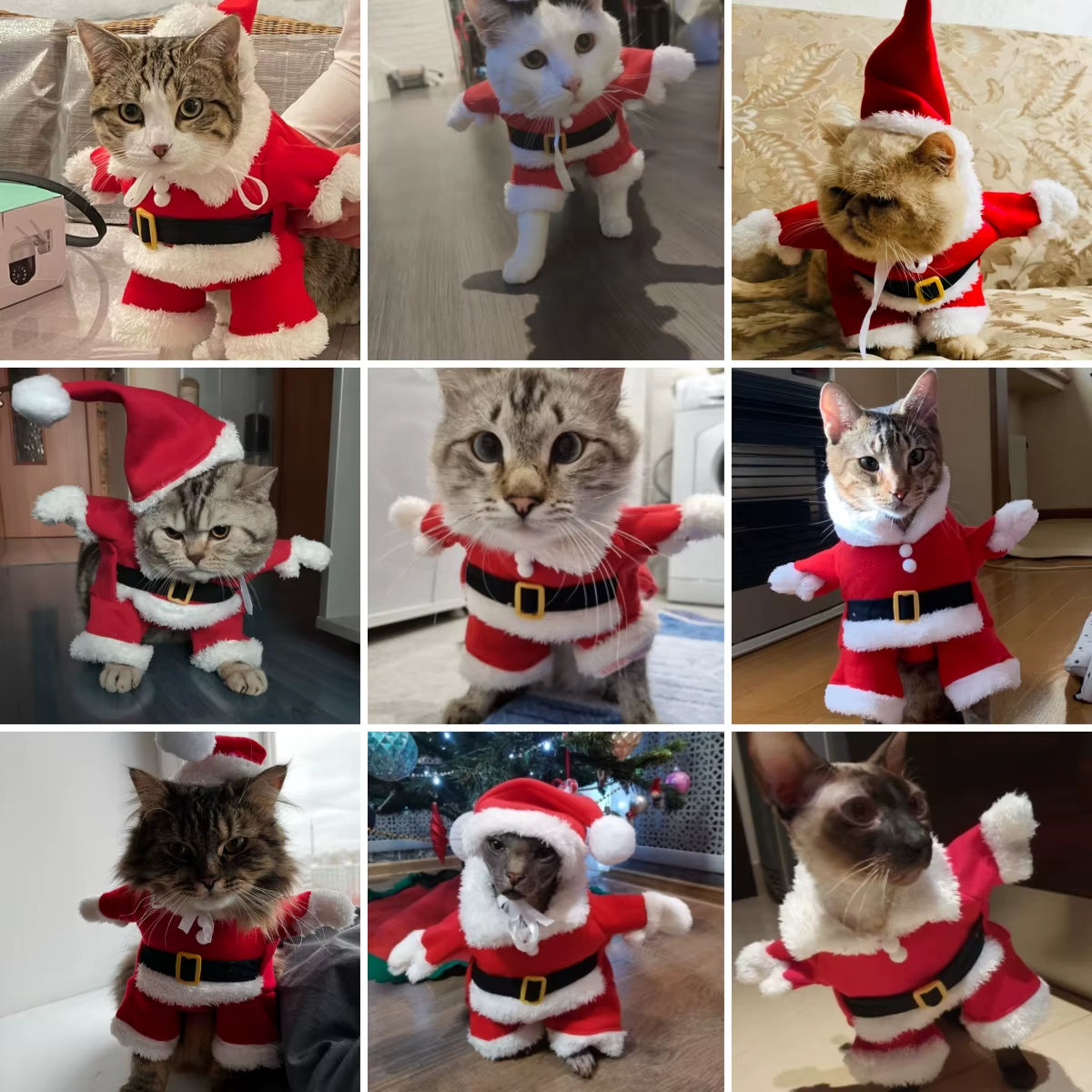 Funny Cat Costume for Christmas Festival Cute Santa Claus Cosplay Pet Jumpsuit for Small Dogs Cats Party Pets Sphynx Dress Up