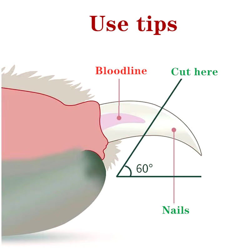 Professional Pet Nail Clipper LED Light Pet Nail Clipper Claw Grooming Scissors for Cats Small Dogs Scissors Cat Accessories