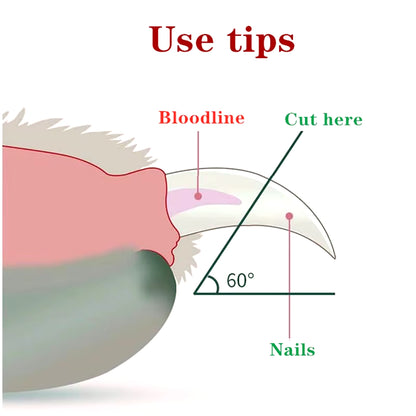 Professional Pet Nail Clipper LED Light Pet Nail Clipper Claw Grooming Scissors for Cats Small Dogs Scissors Cat Accessories