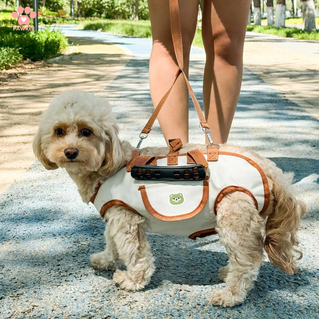 Portable Pet Carrier