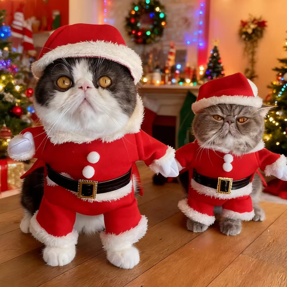Funny Cat Costume for Christmas Festival Cute Santa Claus Cosplay Pet Jumpsuit for Small Dogs Cats Party Pets Sphynx Dress Up