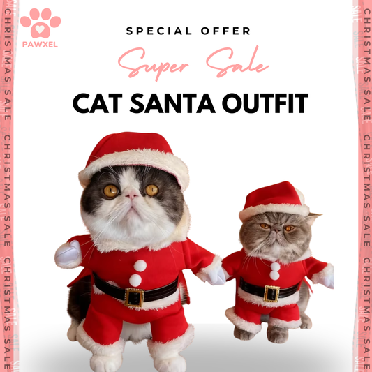 Cat Santa Claus Costume