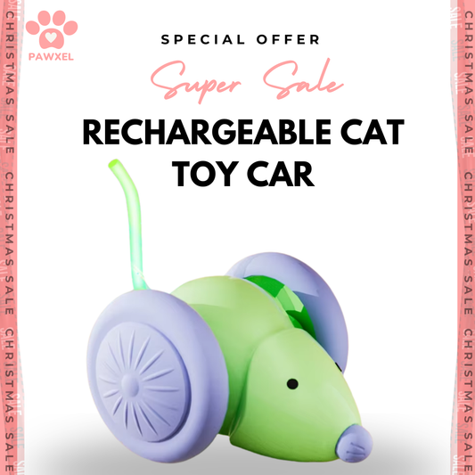 Rechargeable Cat Toy Car
