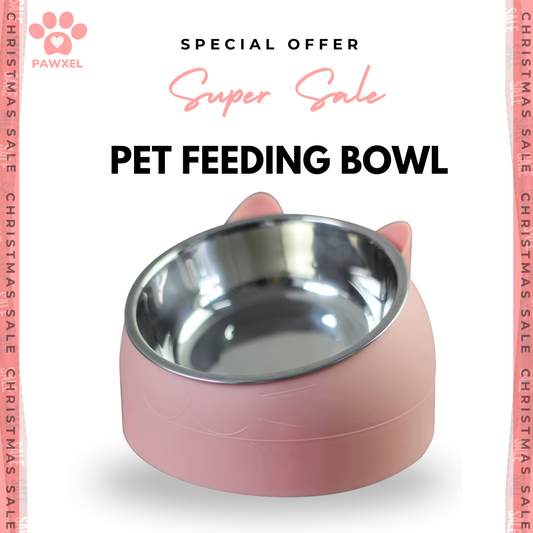 Pet Feeding Bowl