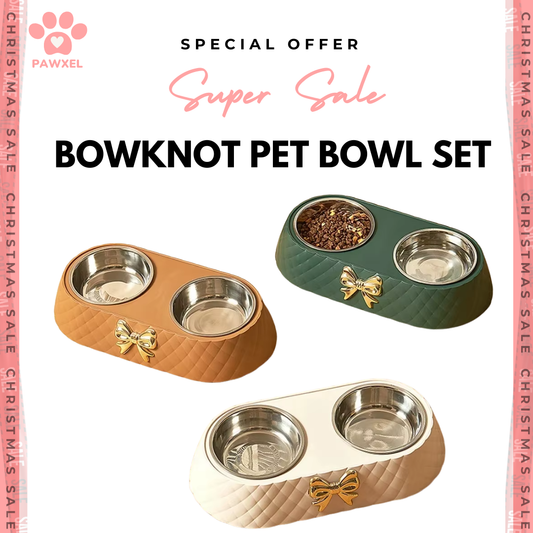 Cute Bowknot Pet Feeding Bowl Set