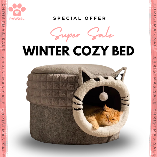 Winter Cozy Bed